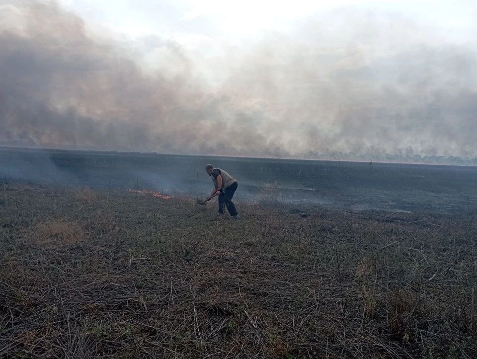 ������ ��������� ���� �������� �����, ���������� ����