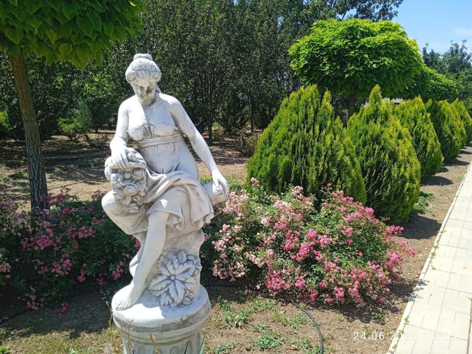 ������� ����, ���������, ������� ���, �������� �����������!