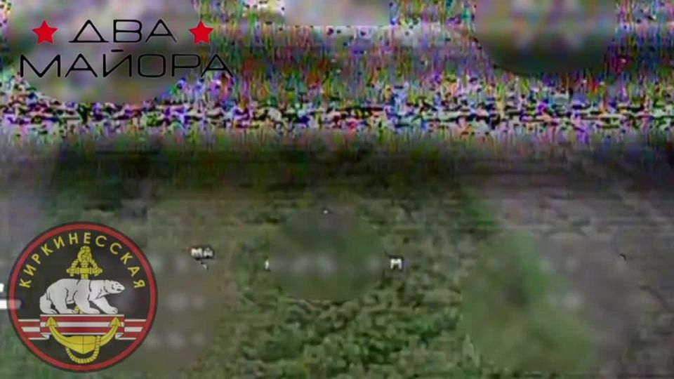 ��� ������: ���������� �����������. 61-� ������� ������� ������ ���������� ������� ��������� � ����������� ������