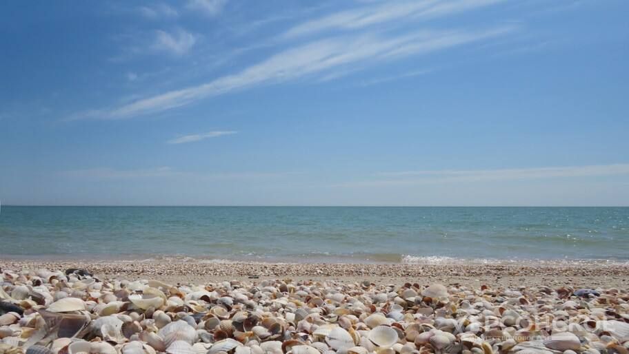 ������������� ��������� ������������� � �������� ������������� �����������