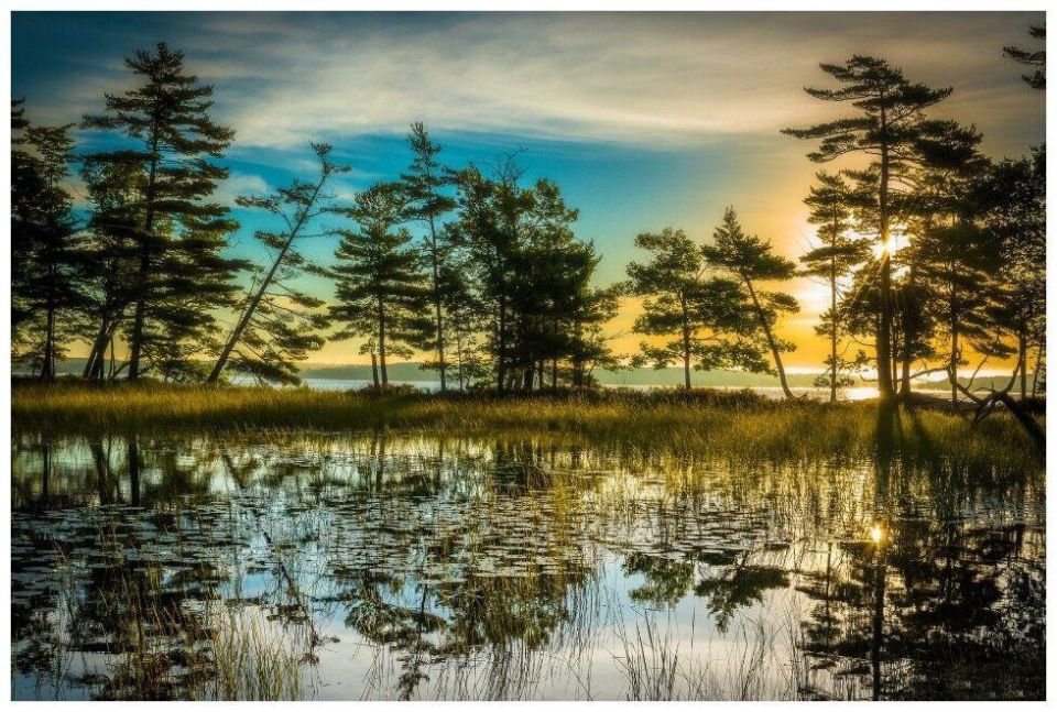 . ��� , ������������ ����� , ����� � ���� �� ���� �����