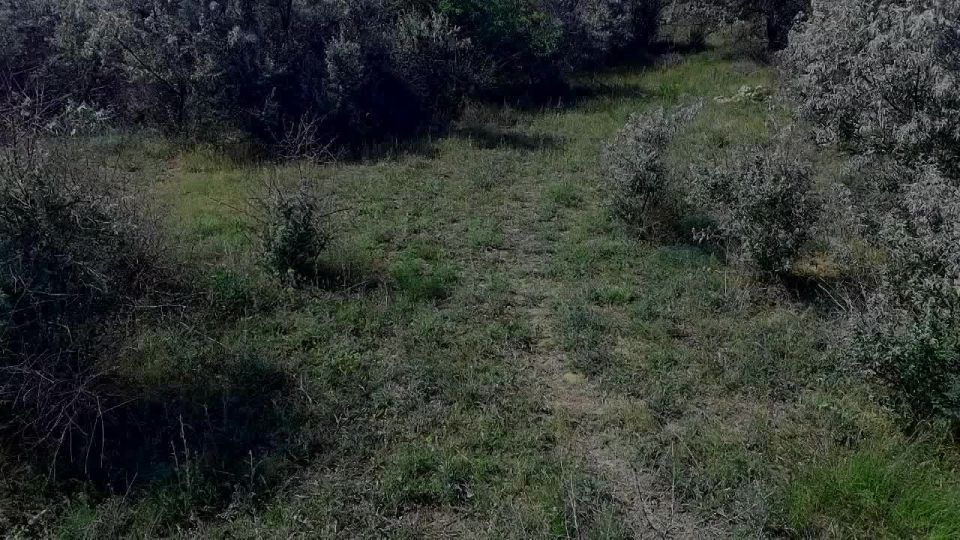 #���������. ���������� �����������