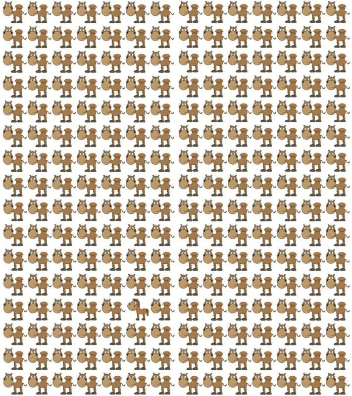 ��������, ������ � ��� ����� �� ���� ������������ ��� �� ������