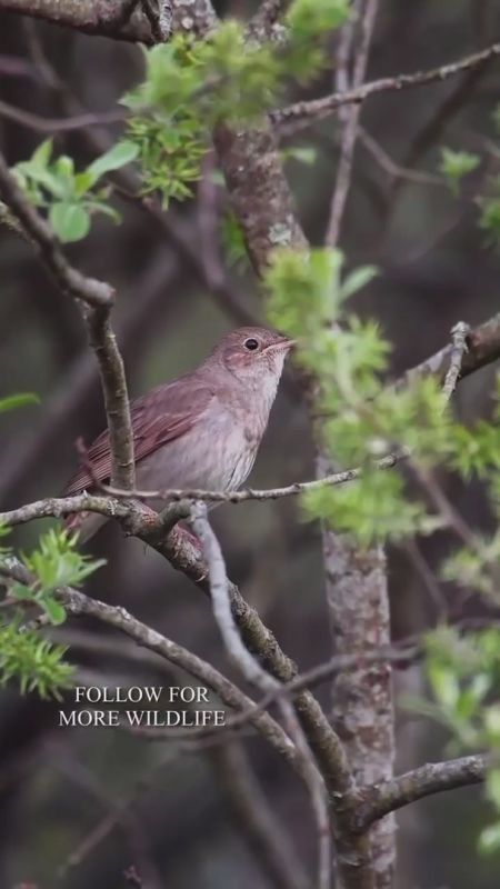 ������ ����� ����.. ������ ���� ����!