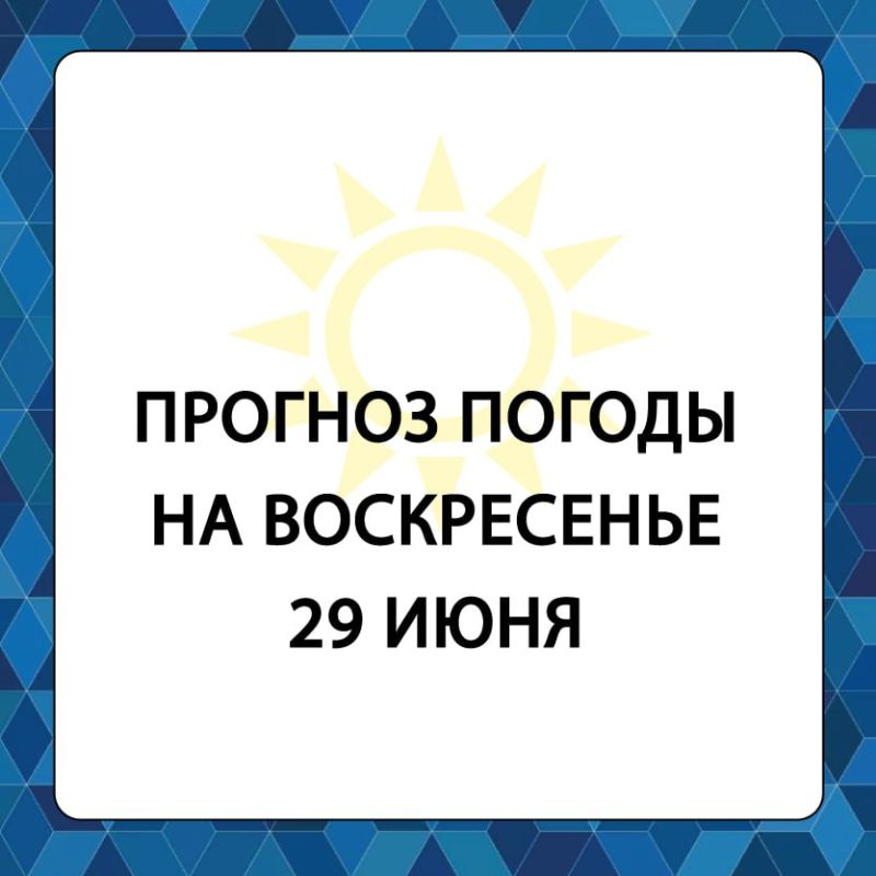 ������� ������ � ����������� ������������� ������ �� �����������, 29 ����