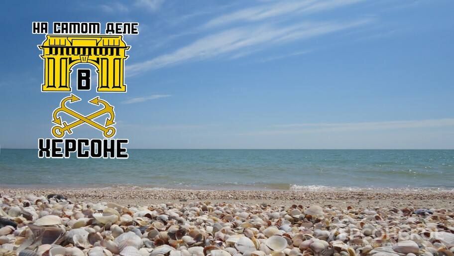 ������ ������� ����������� ������� �� ����������� ������������� �����������