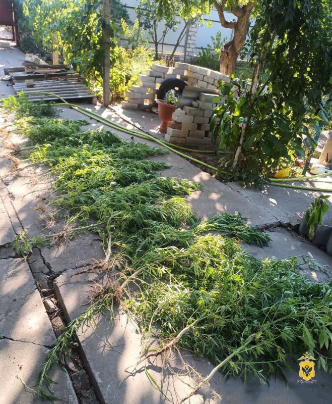 ������ ����������� ������ ���������� � ������� ������� �� ���������������, ��������, � ���� ���������