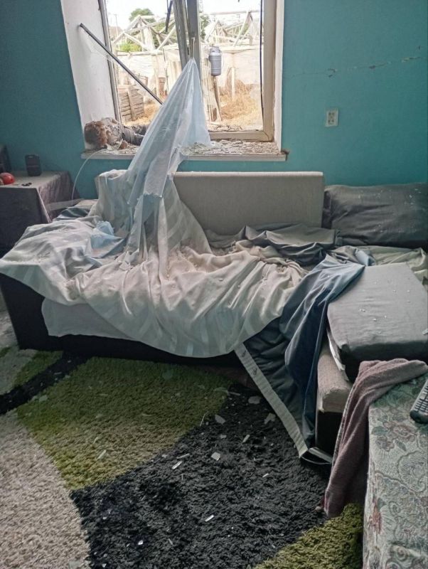 ����������� ���������: �������� � ������������ �� �����