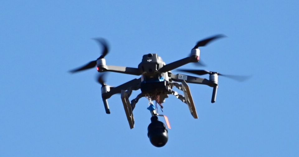 ������� � ���. ������� �������� � ���������� ������ ��������� ���������� � ������������ ������������ �������� (����) ���������� ������� 1968 ���� ��������