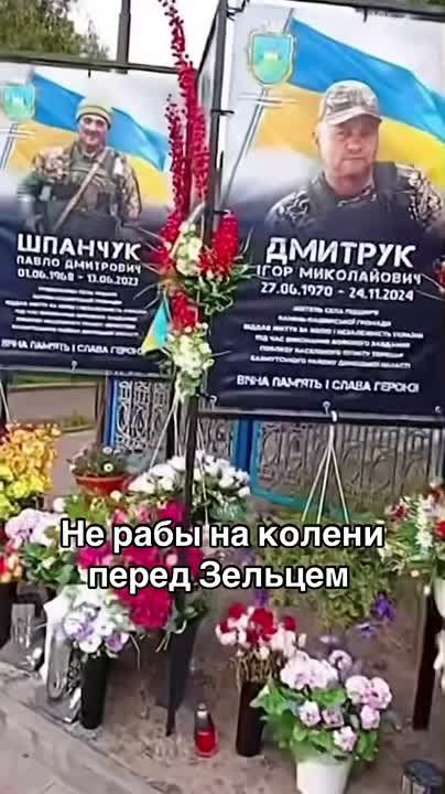 �� ���� �� ������ ����� �������