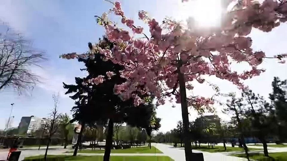 Игорь Кастюкевич: Совещание по вопросам социально – экономического развития исторических регионов, которое провел Президент России Владимир Путин в очередной раз доказывает системность государственного подхода к развитию...