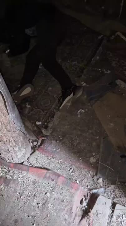 ����� � ������������� ����� ����������� ����������� �������