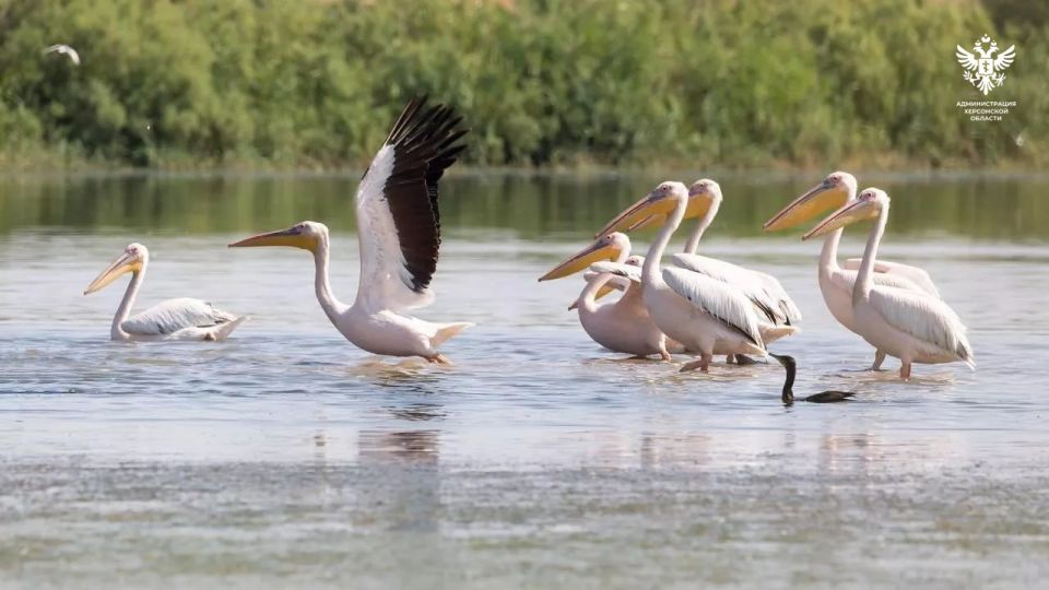 ������������ ���������� ������� ������ ����� ���������� ��������� ���������� ������