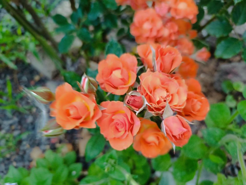 ��������� ������ �������� ��������� �����������!