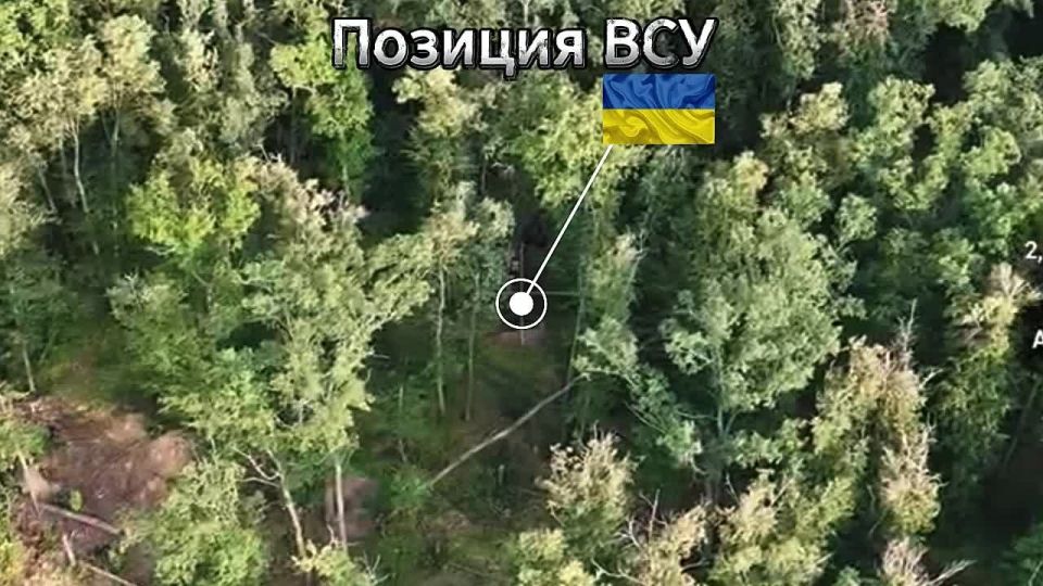 ���������� �� �����. ����������� �������