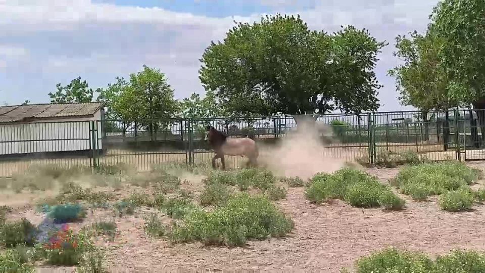 "�������-����": ��� ������������� ���������� ���������� �� ��� ������ ���������� ���� ��� � ������� �������������, � ����� �������� � � ��������