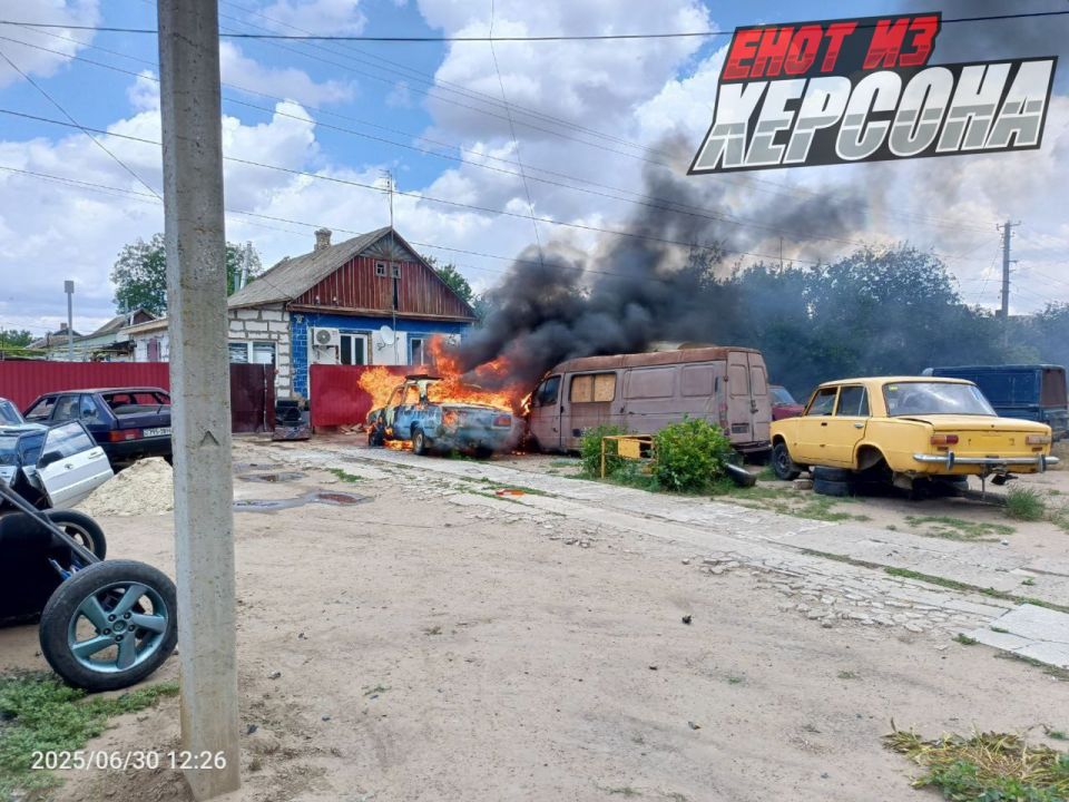 Енот из Херсона: ВСУ атаковали Херсонскую область беспилотниками