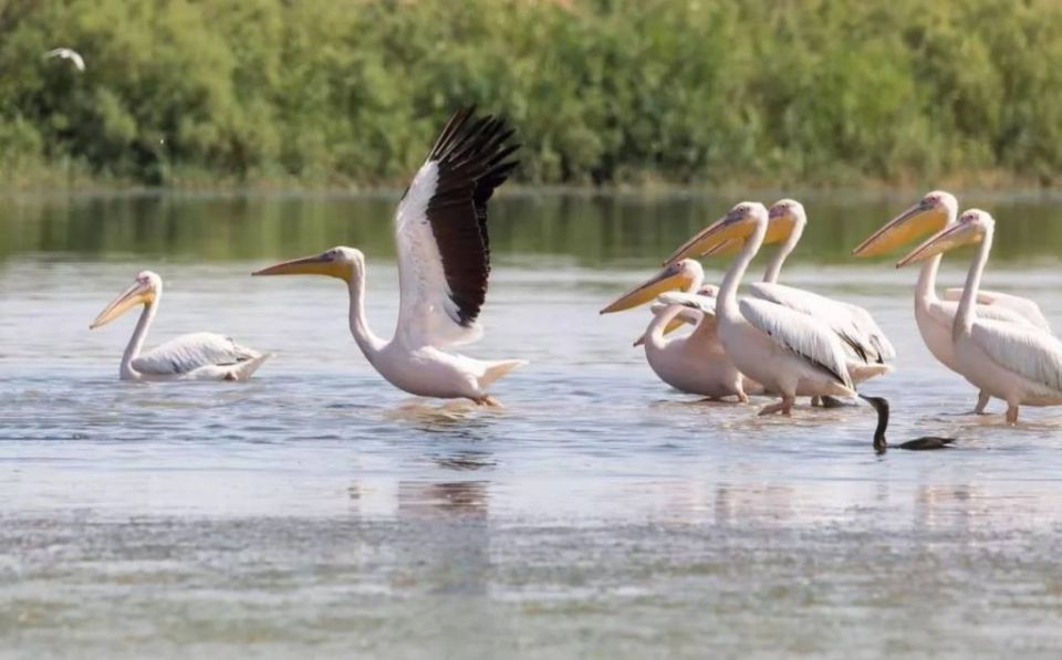 ������������ ���������� ������� ������ ����� ���������� ��������� ���������� ������