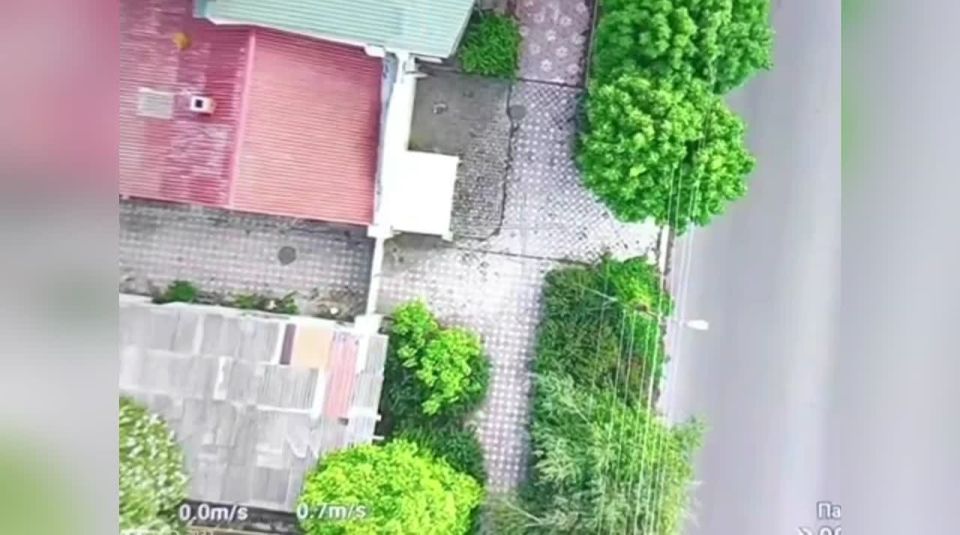 �����. ���������� �����������