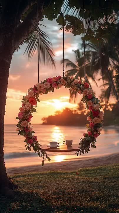 ����� ���� "������". ����� ������ � ����������