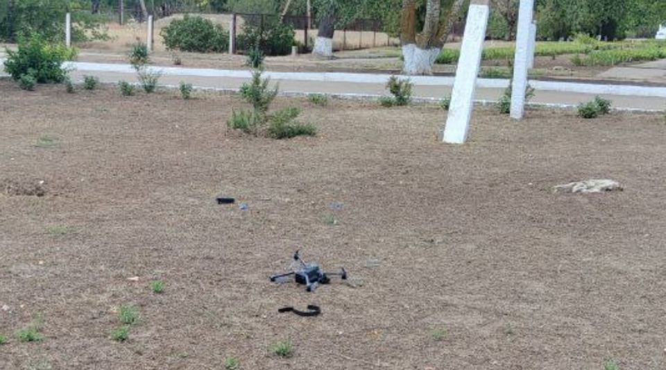 ����� ��������: ���������. ���������������� ������� ���� ��������� � �������� ��������������