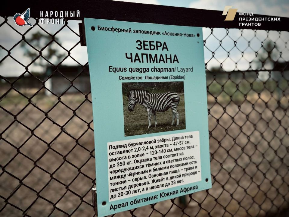 ������� ��������� ������ � ������� ���� � �������� �������� ���������� ��������-����