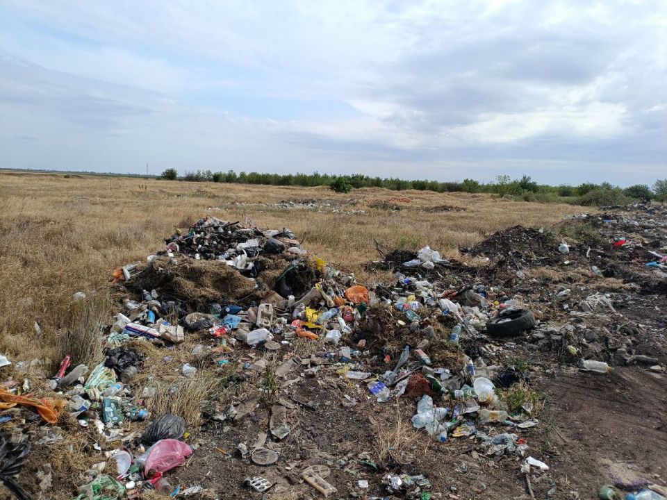 �������� ������: � ��������� ������ ������ ����� � ���������