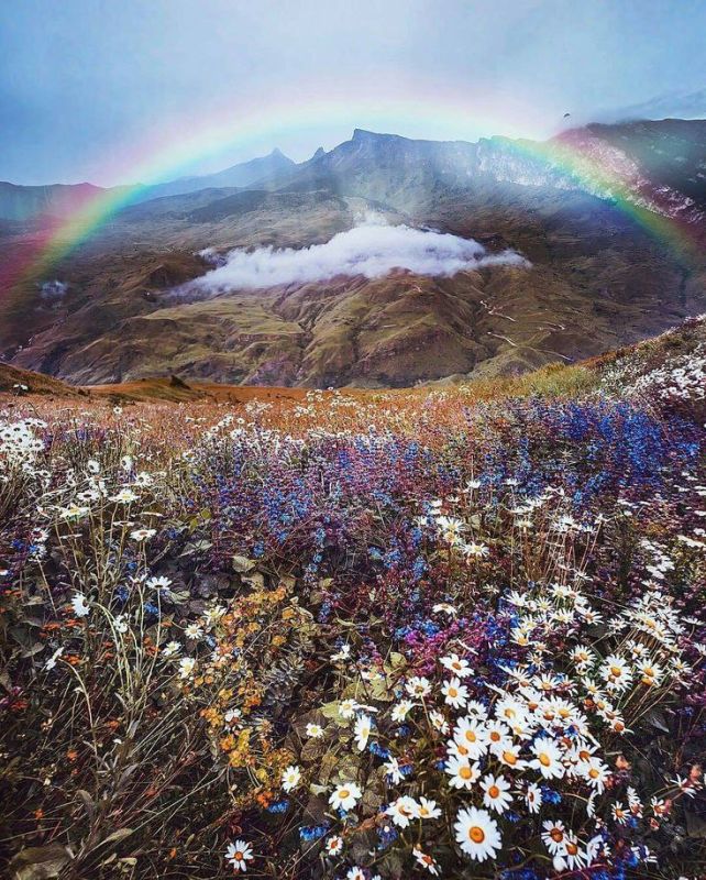 . �� ���� ���� ���� �������� , ����� ��������� � ���