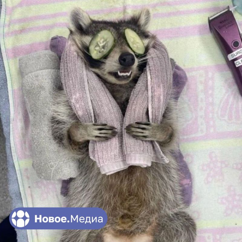 ���� �� �������: ��� ����� ���� ����� ������� �� �����?