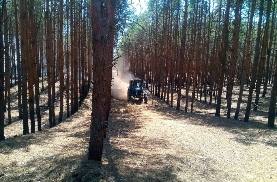 Сотрудники природного парка «Алешковские пески» ликвидировали крупные лесные пожары в Новомаячковском лесничестве