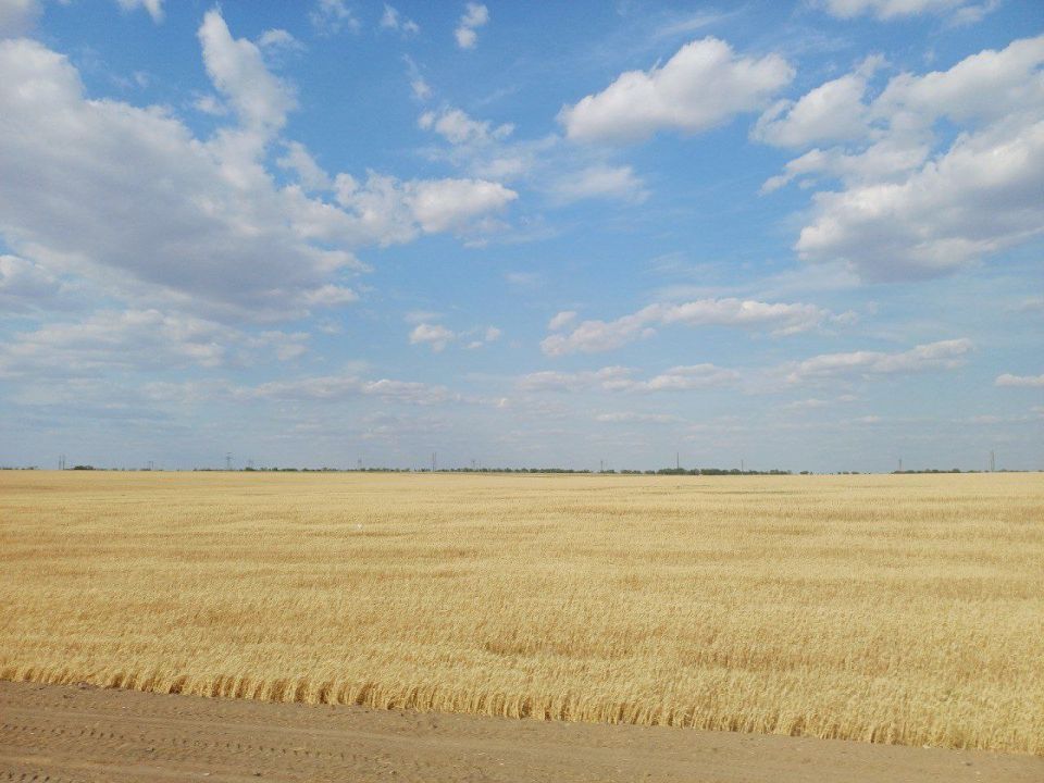 ������, ���������� ������ ��� ������ � ������� ����� ����������� ������ ���������� �� ��������