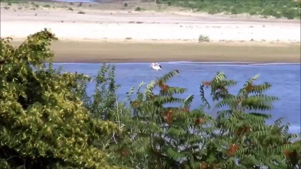 �� ����� ���������� ������������� ��������� �������� ��������