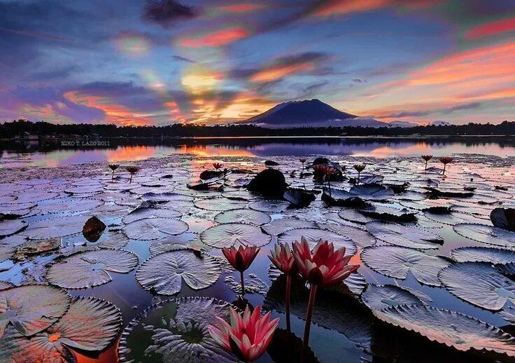 . ��� ��� ������� ����� ������� , ��� �������� ������ , ������