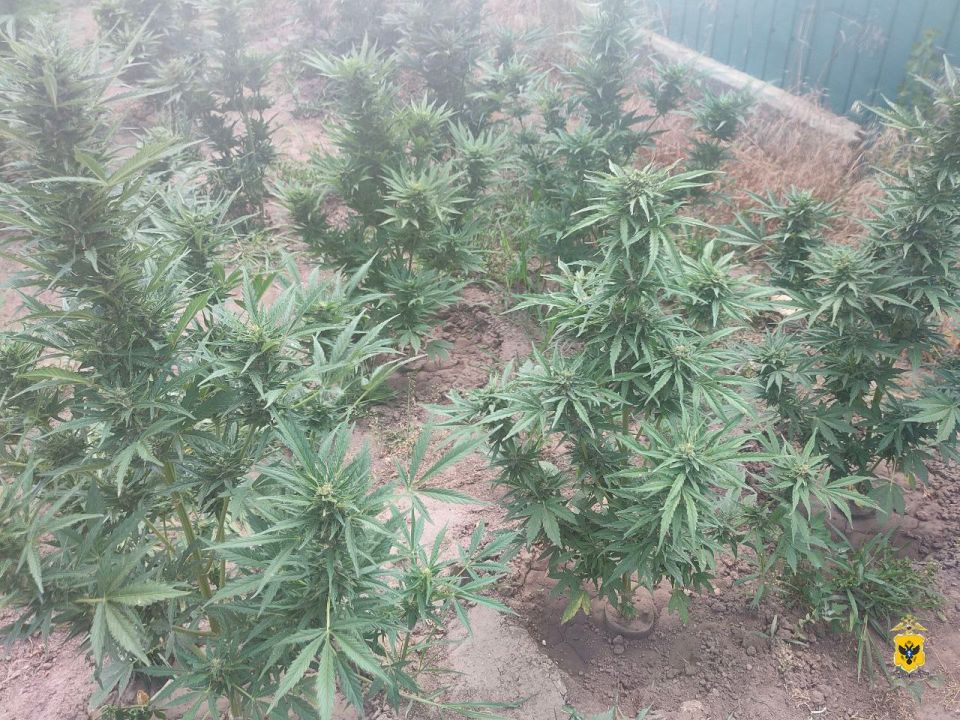 ������ ��������� ���� ���������� ���������� ���� �� ���������� ��������������� �������