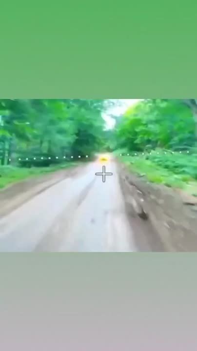 ����������� ������� ���� �� ����������� ������� � �������� ������ ��������, �� ���� �������������� �� ������