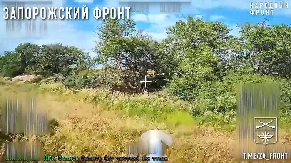 ���� �� �������: ����������� �� �� ������������ �� ����������� �����������