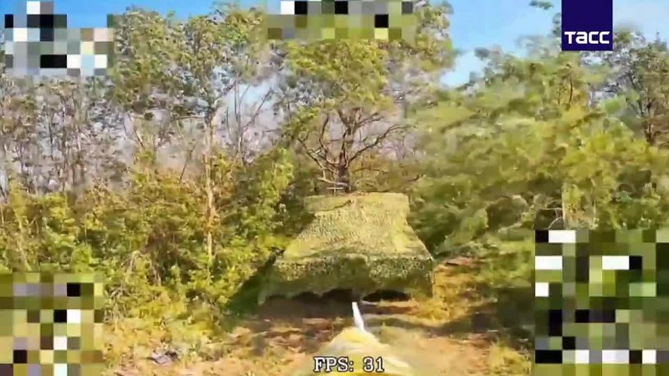 ��������� ���� ������ "����-31" ���������� �������� � �������� ���������� ���