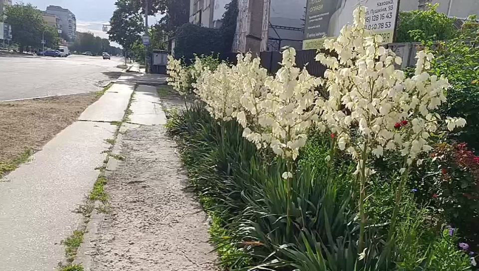 ������ ����, ������ ���������� �������������� ������!