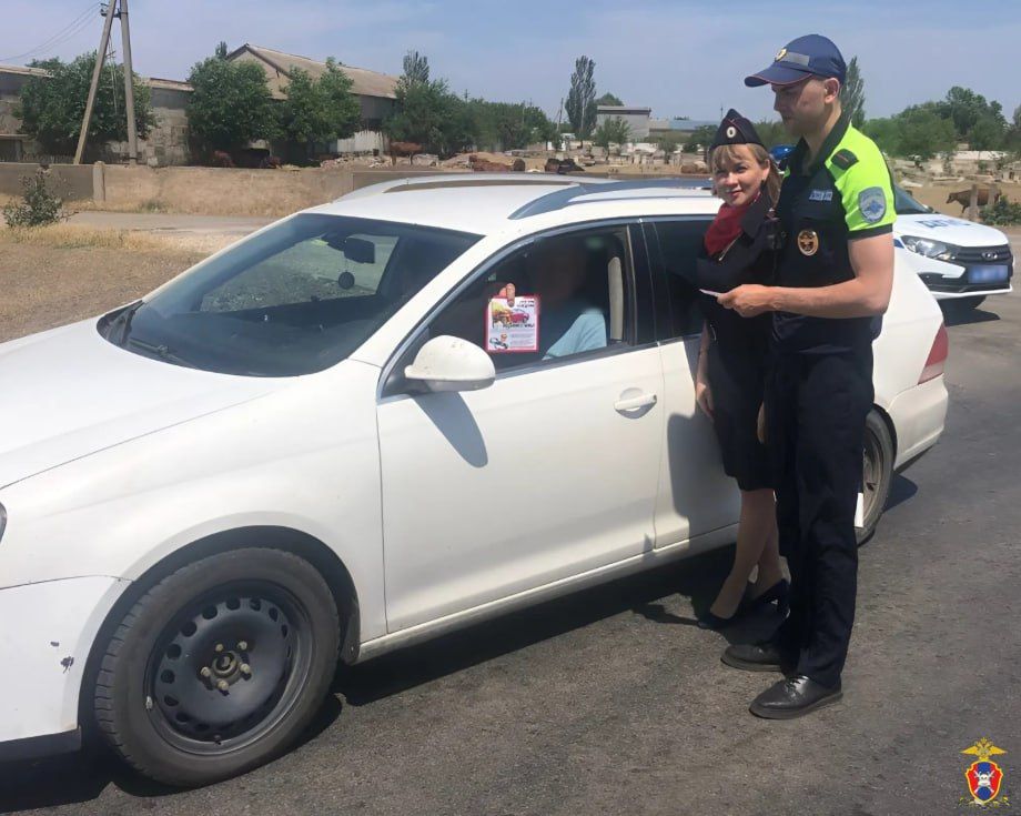 � ���������� ������� ����������������� ������� ���������������� ����