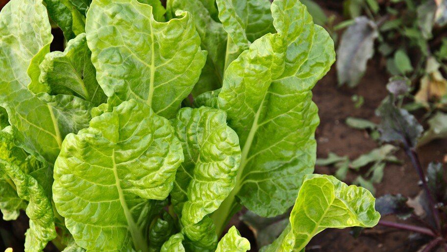 ����� ������, ��� �������. ������� ���������, ��� ����� �������� �� ������� � ����