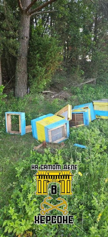 ������ �� ��������, ������ ������� � ����� ������ �� ������ � ������ ��� ���� � ������ ����� �������