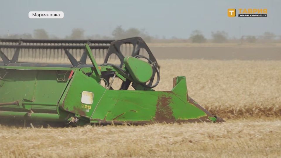 �������� ������: ���������� ����� ��������. ���� ������� ����� �� ���� � ������ ������ ��������