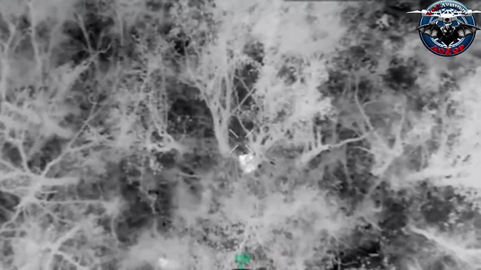 � ��������� ����� ���������� ������� ���� ������ ������� ���������� ������������� ���