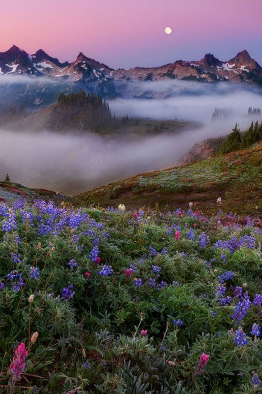 . � ������� ���� ���� , �������� , ���� ������