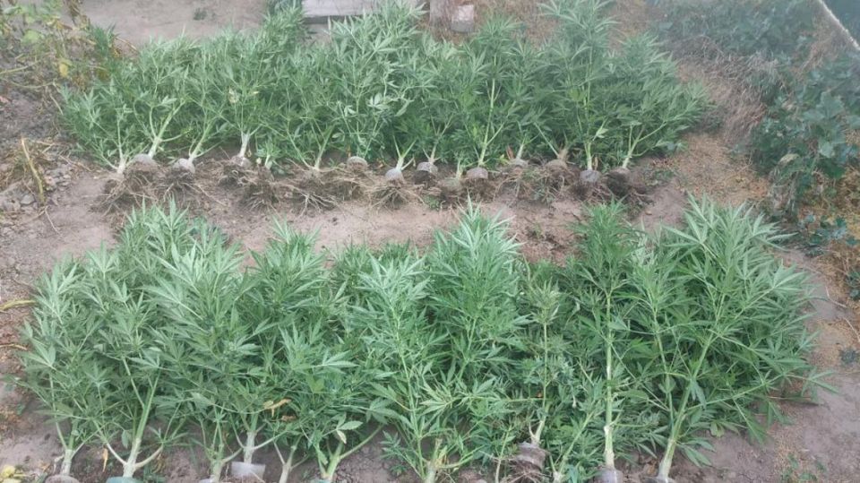 ������ ���������� ������� ���� ���������� ���������� ���� �� ���������� ��������������� �������