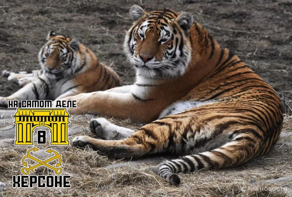 ������ ��������� ��������� ����� �������������