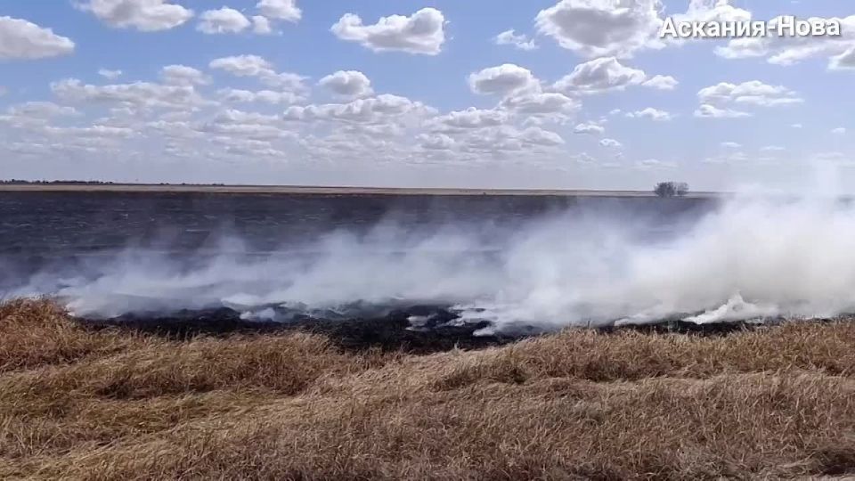 � ���������� ����������� "�������-����" ��������� ����� � ���������� ����� ��������� ����