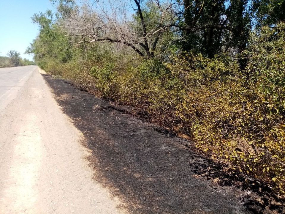 � �������� ���������� ������ �������� � ���������� ����� ������ ���