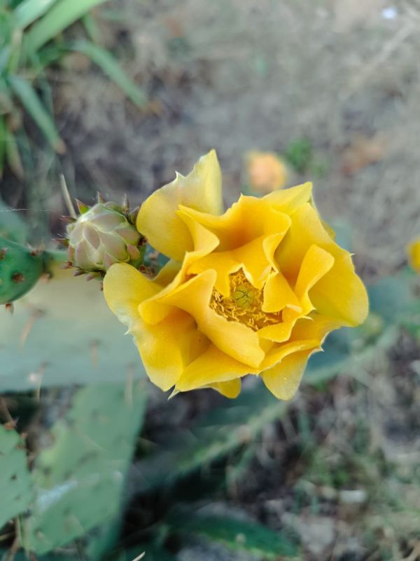 ������� ������� ����! �������� ���, ����������� ����������!