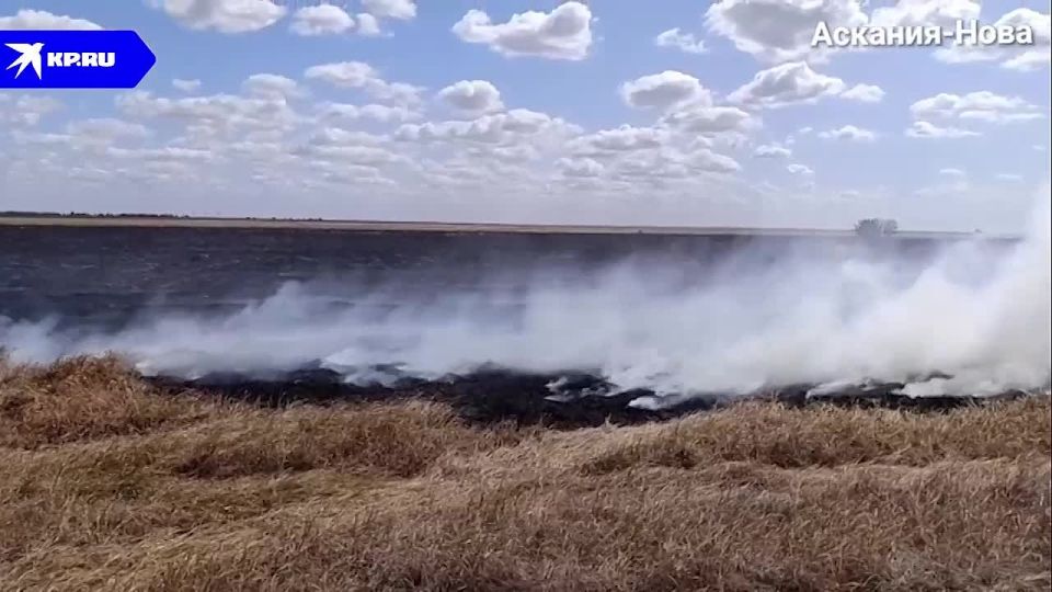 �������� ���������� �����: ����� ��� �������� ���������� ������ ����������� ��������-����